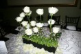 /album/bodas/a67093-487650204682376-1828925786-n-jpg/