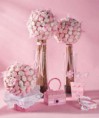 /album/xv-anos/a01-dulces-quince-jpg/